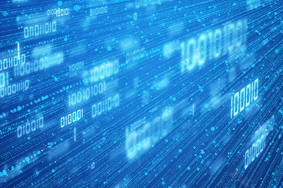 Trends in Software Video Conferencing